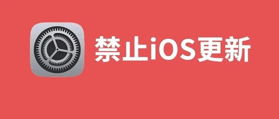 Beta 版切换方案